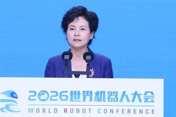 人形机器人,具身智能,亦庄