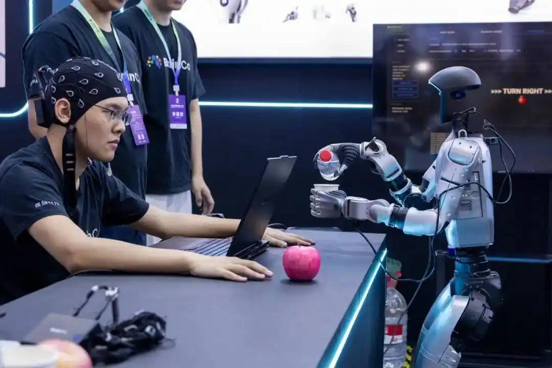 人形机器人