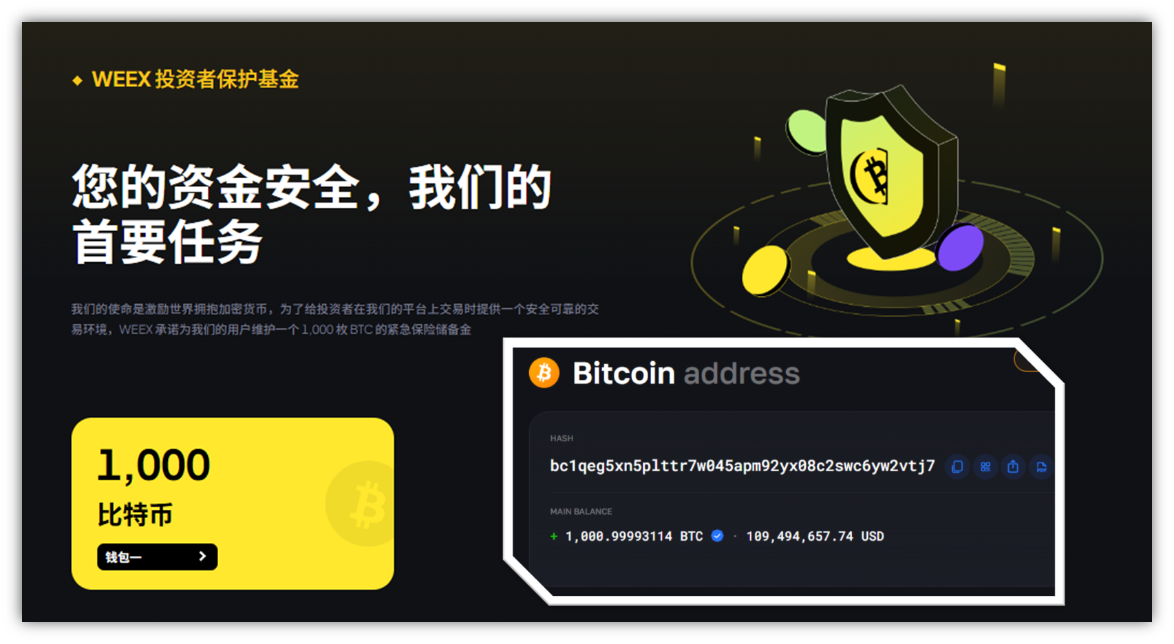 WEEX、全球化、资产安全