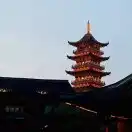 硅基异见