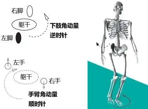 人形机器人