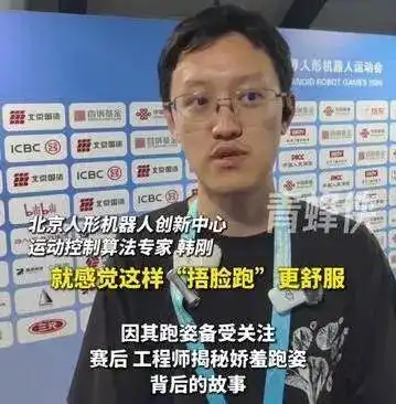 人形机器人