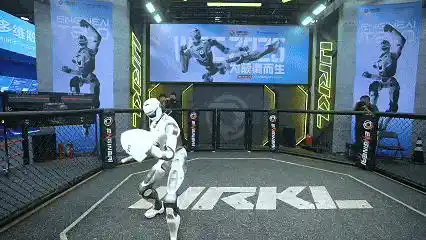 人形机器人