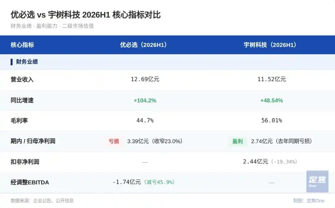 人形机器人