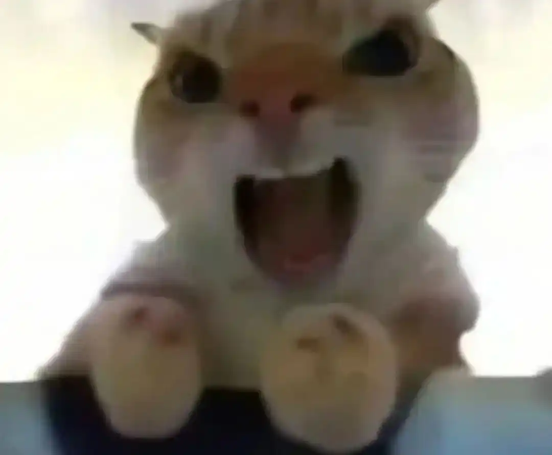 OpenClaw