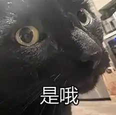 Agent