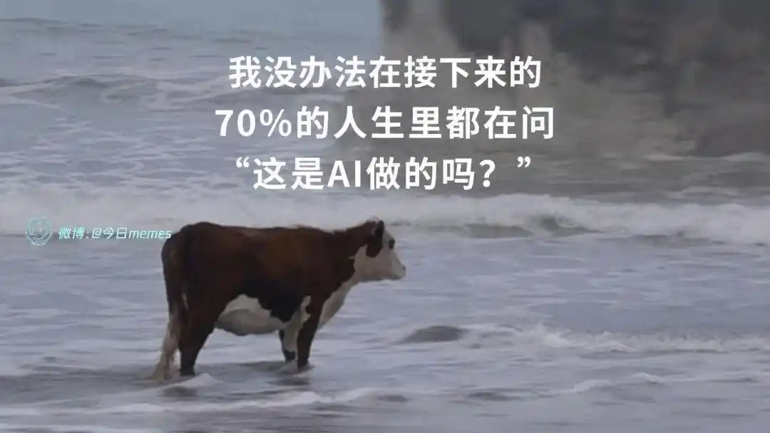 内容鉴伪