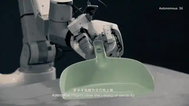 自变量