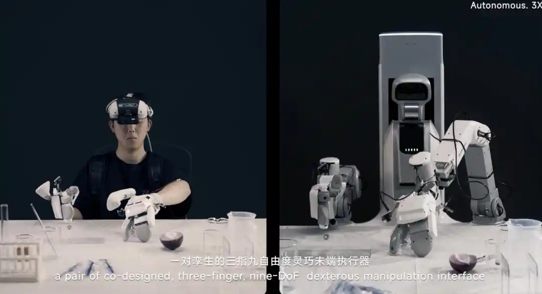 自变量