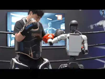 人形机器人