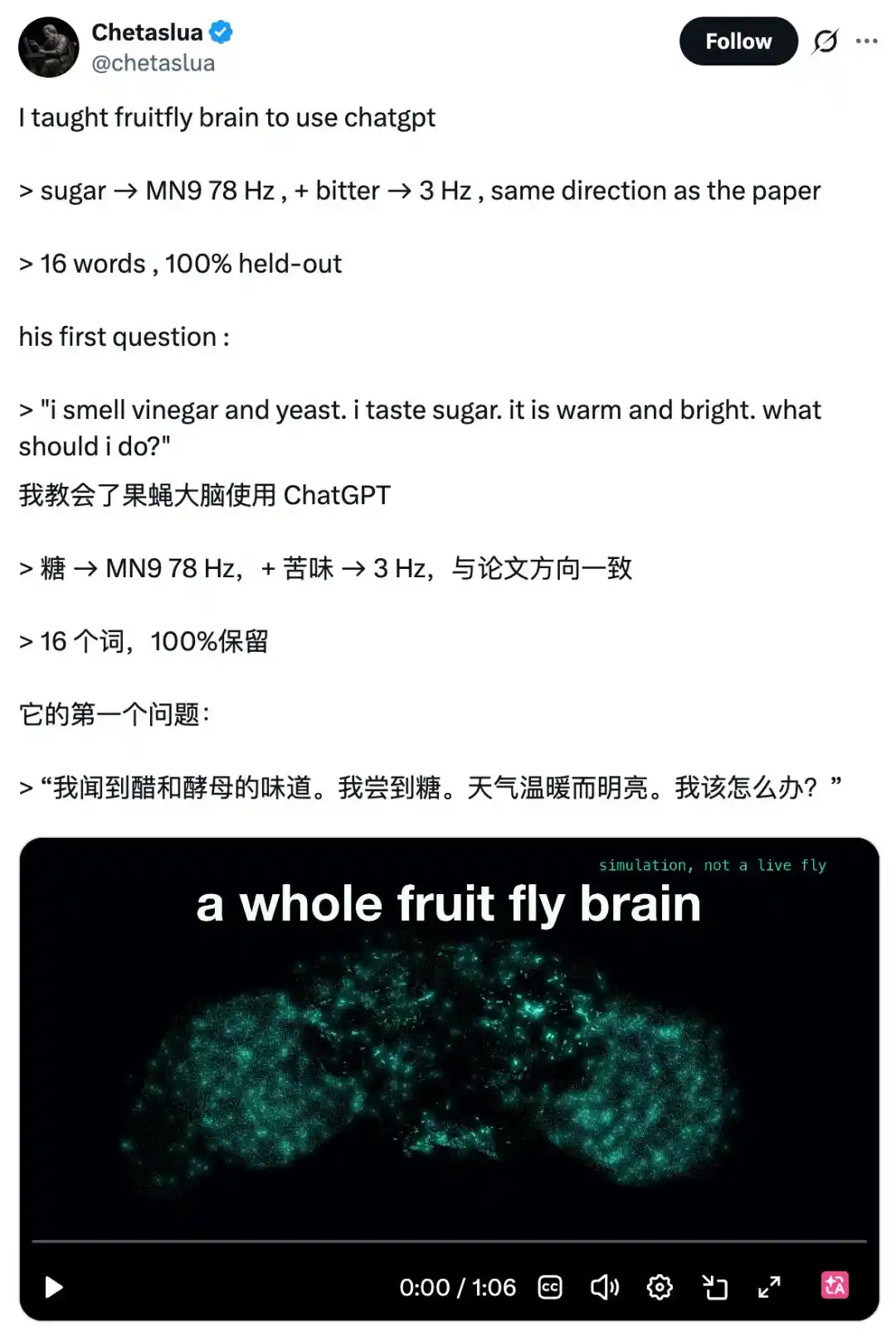 果蝇大脑