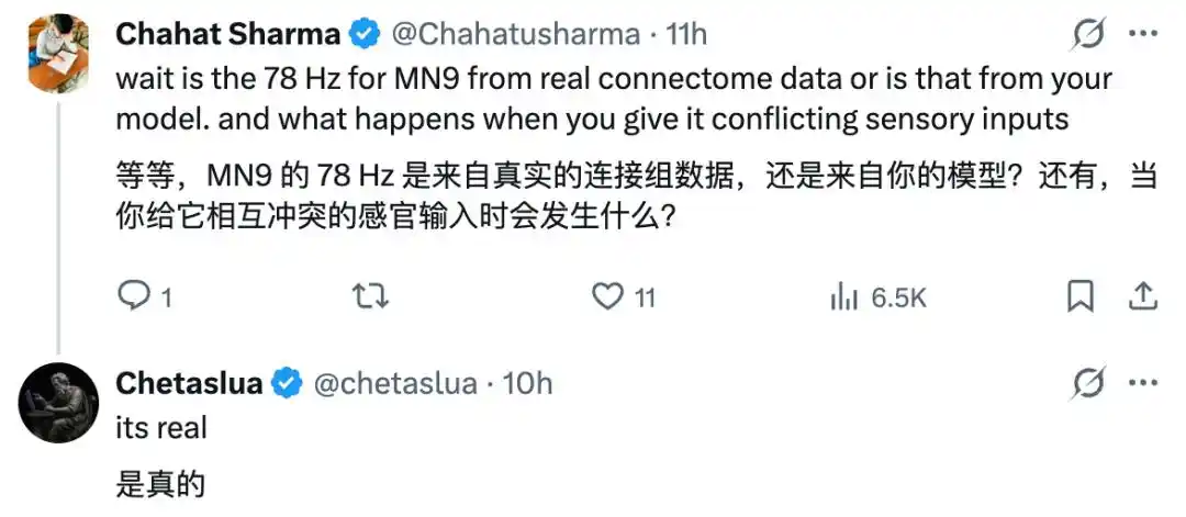 果蝇大脑