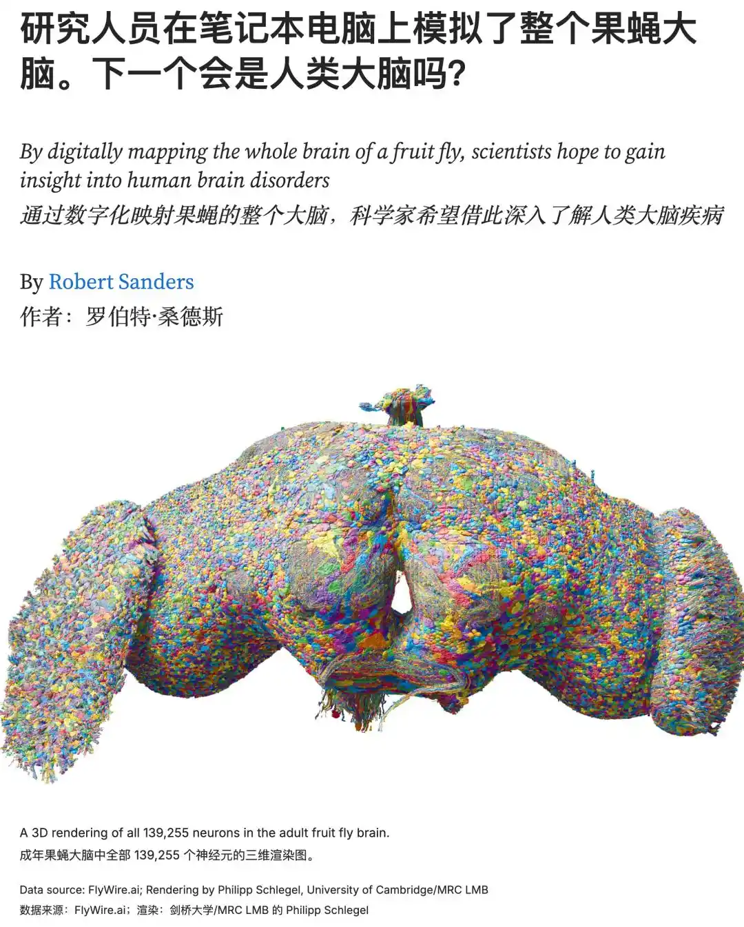 果蝇大脑