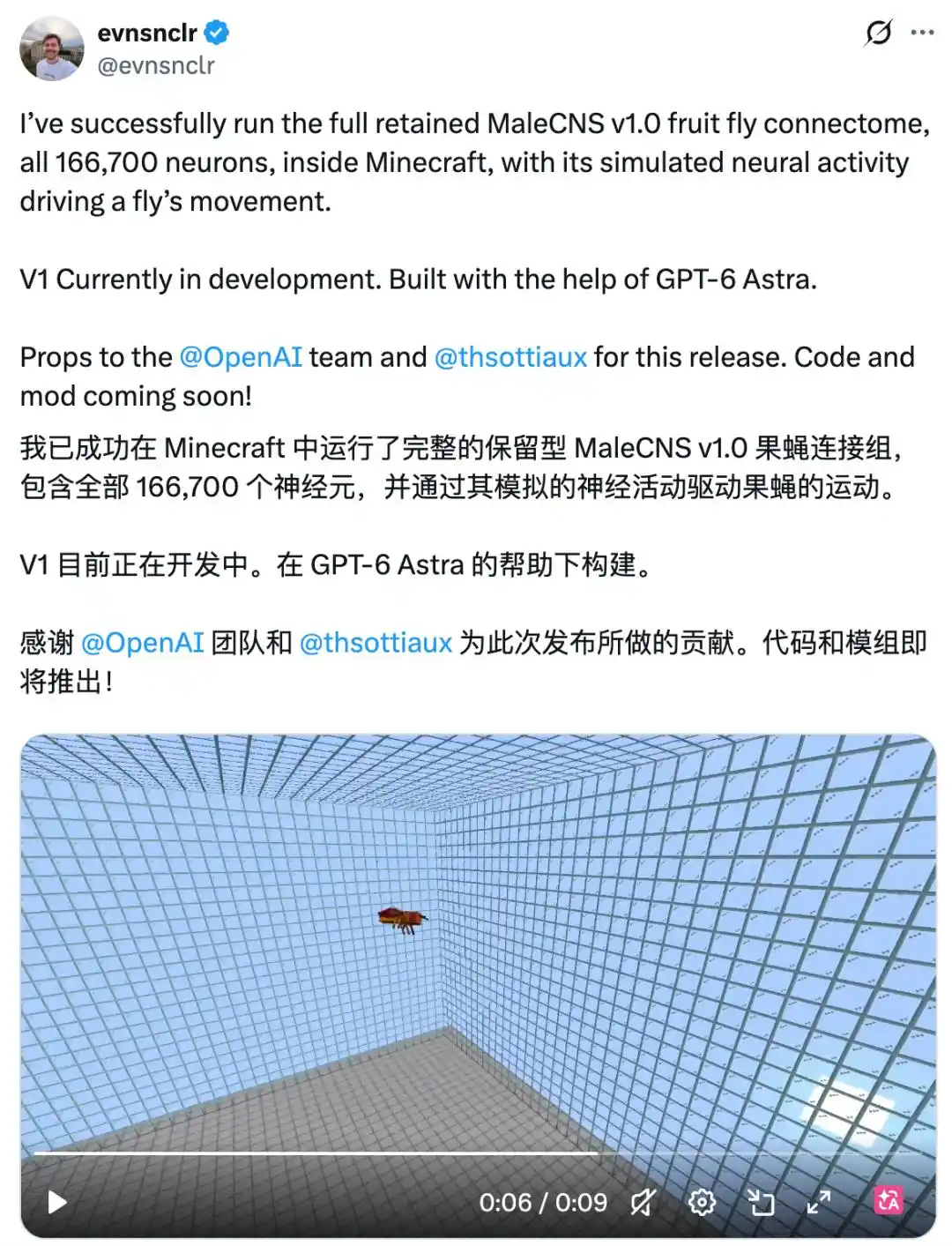 果蝇大脑