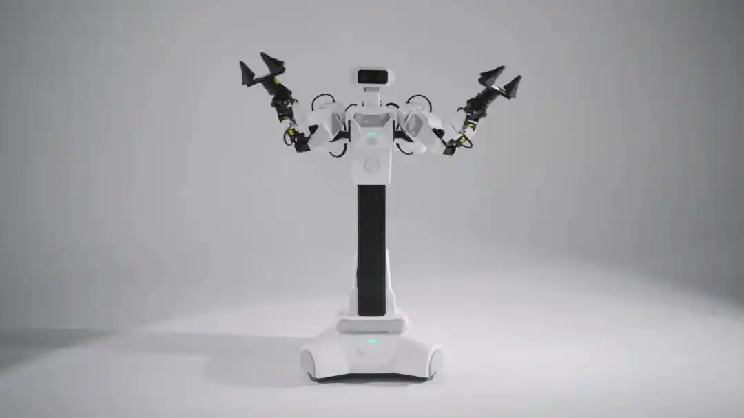 人形机器人