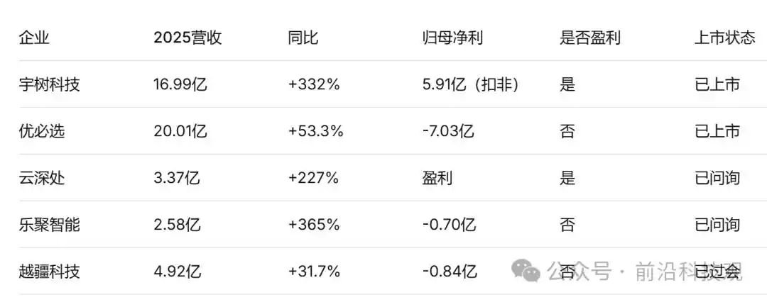 人形机器人