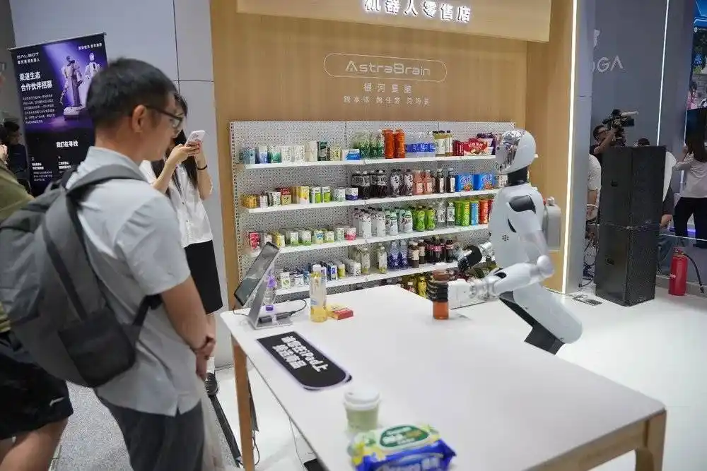 人形机器人