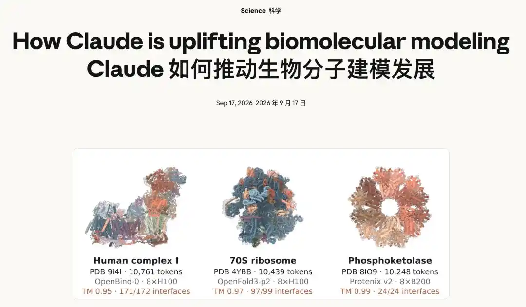 蛋白质设计