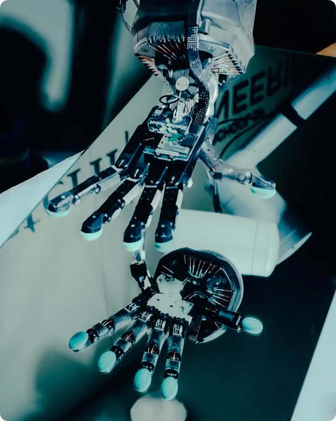 RoboHarm