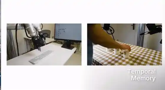 RoboDojo