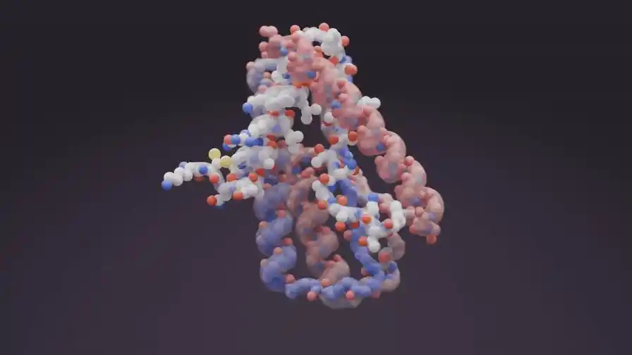 合成生物学