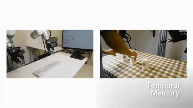 RoboDojo