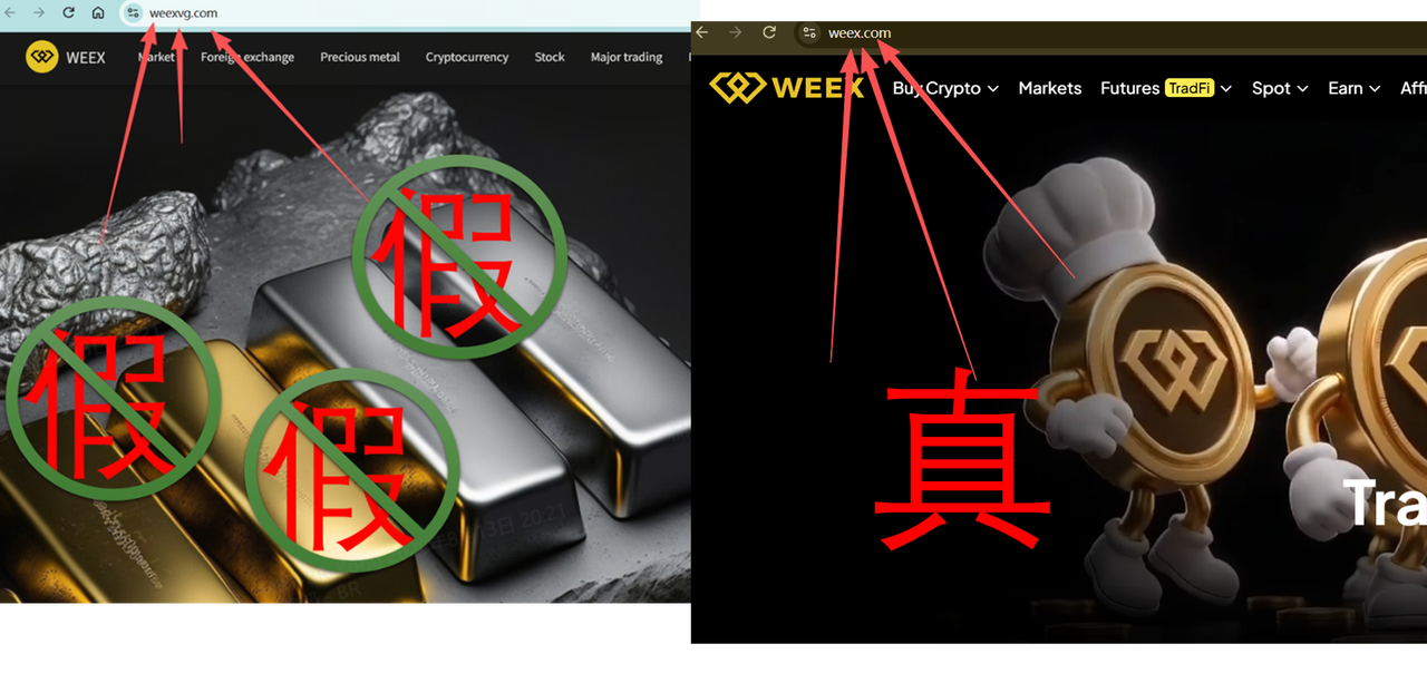 WEEX、安全体系、合规建设