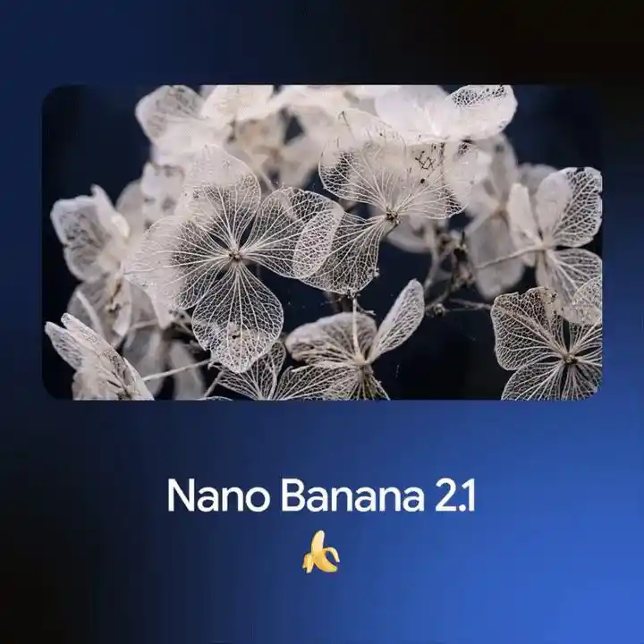 谷歌